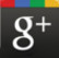 GARMIN Google+